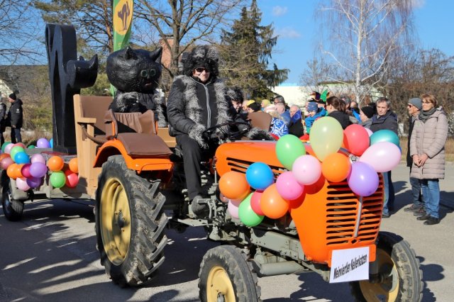 Narrentreiben 2025 (Fotos Rochus Hetzendorfer)